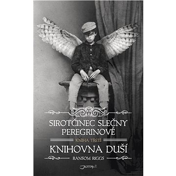 

Sirotčinec slečny Peregrinové: Knihovna duší