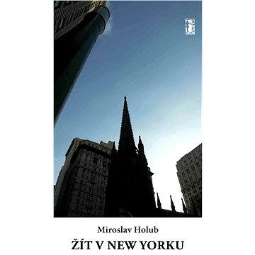 Žít v New Yorku - Elektronická kniha