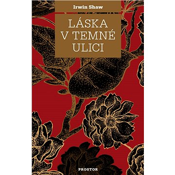 

Láska v temné ulici