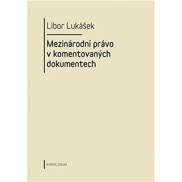 

Visegrádská skupina a její vývoj v letech 1991-2004