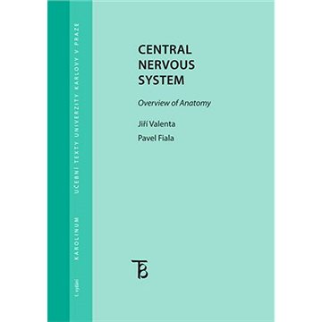

Central Nervous System