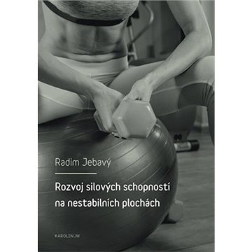 

Rozvoj silových schopností na nestabilních plochách