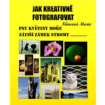 

Jak kreativně fotografovat psy, květiny, moře, zátiší, zámek, stromy....