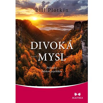 

Divoká mysl