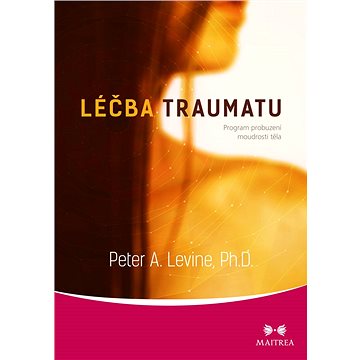 

Léčba traumatu