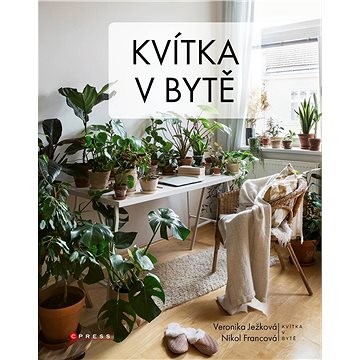 

Kvítka v bytě