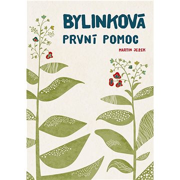 

Bylinková první pomoc