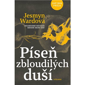

Píseň zbloudilých duší