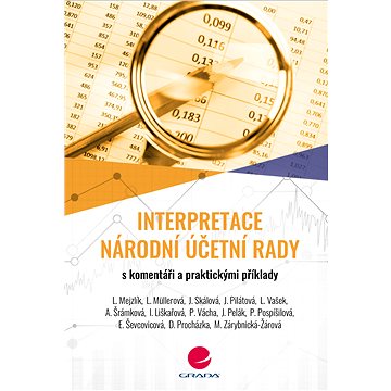 

Interpretace Národní účetní rady