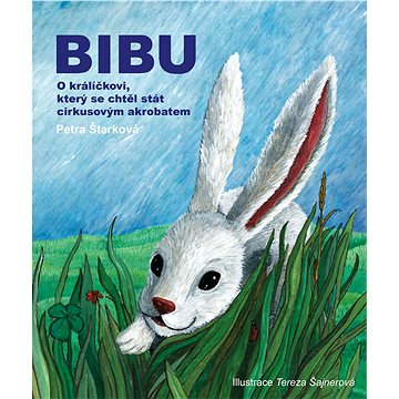 

Bibu