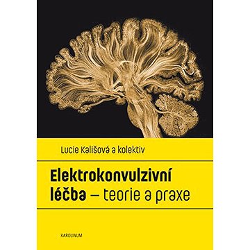 

Elektrokonvulzivní léčba