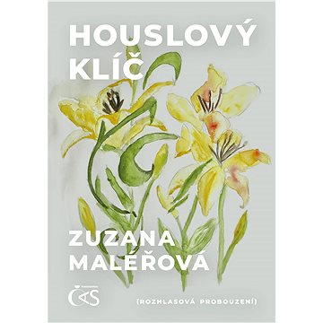 

Houslový klíč