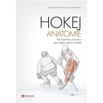 

Hokej - anatomie