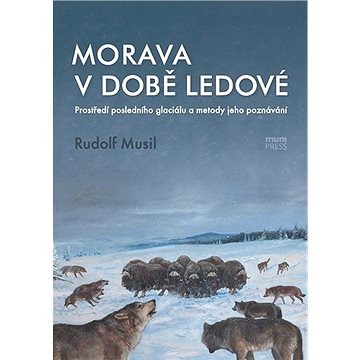 

Morava v době ledové