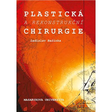 

Plastická a rekonstrukční chirurgie
