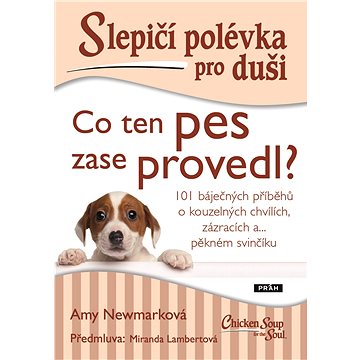 

Slepičí polévka pro duši: Co ten pes zase provedl