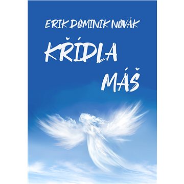 

Křídla máš