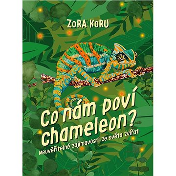 

Co nám poví chameleon