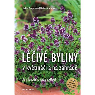 

Léčivé byliny v květináči a na zahradě