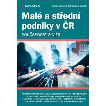 

Malé a střední podniky v ČR – současnost a vize