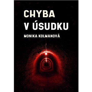 

Chyba v úsudku