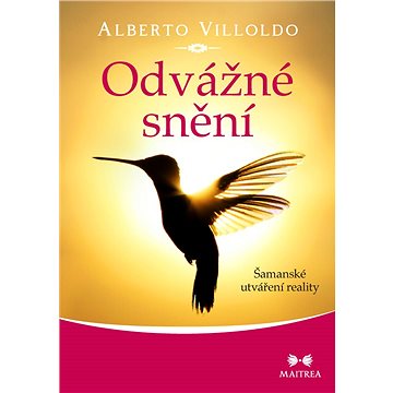 

Odvážné snění