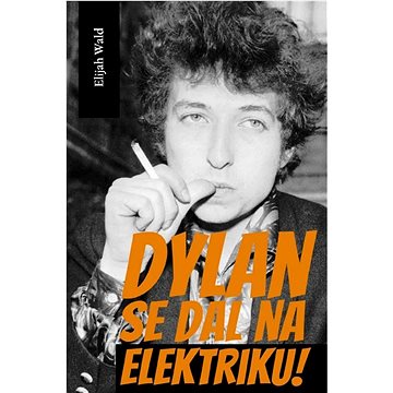 

Dylan se dal na elektriku!