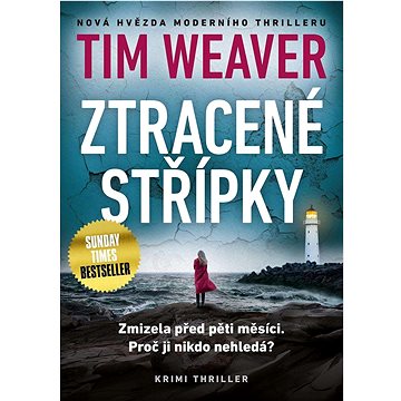 

Ztracené střípky