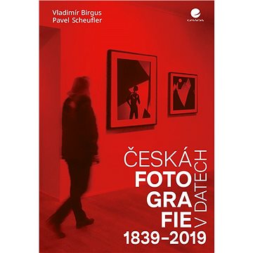 

Česká fotografie v datech