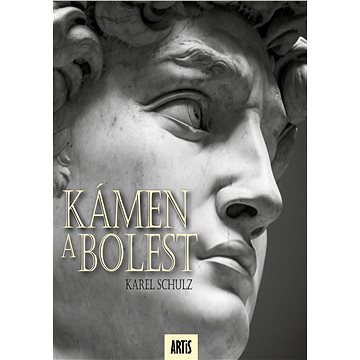 

Kámen a bolest