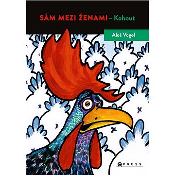 

Sám mezi ženami
