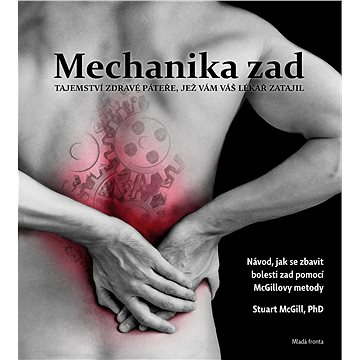 

Mechanika zad