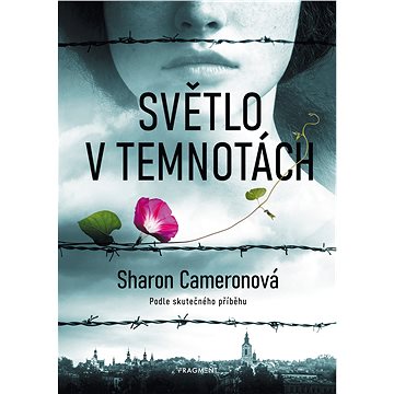 

Světlo v temnotách