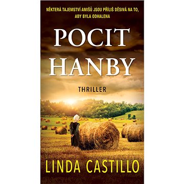 

Pocit hanby