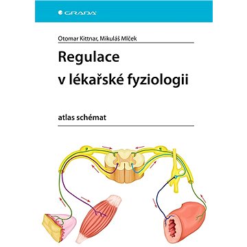 

Regulace v lékařské fyziologii