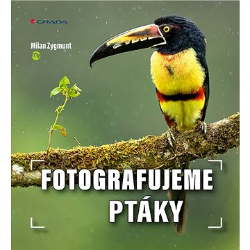 

Fotografujeme ptáky