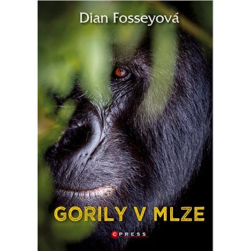 

Gorily v mlze