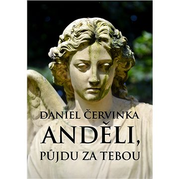 

Anděli, půjdu za tebou