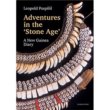 

Adventures in the Stone Age