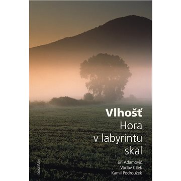 

Vlhošť