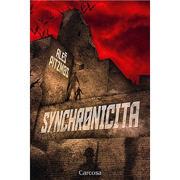 

Synchronicita
