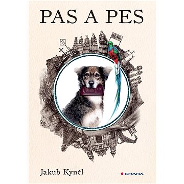 

Pas a pes