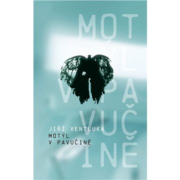 

Motýl v pavučině