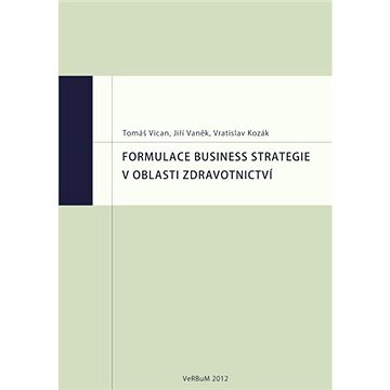 Formulace business strategie v oblasti zdravotnictví - Elektronická kniha