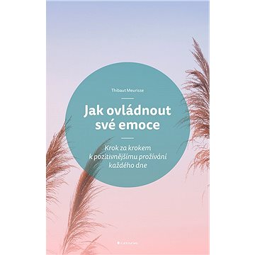 

Jak ovládnout své emoce