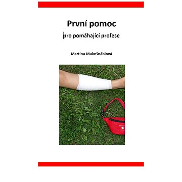 

První pomoc pro pomáhající profese