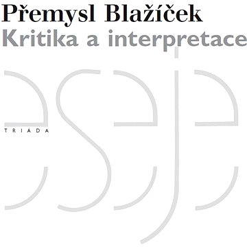 

Kritika a interpretace
