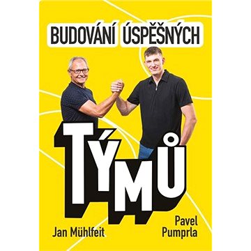 

Budování úspěšných týmů