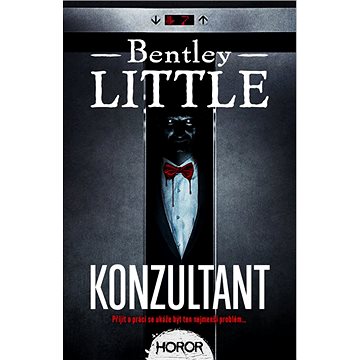 

Konzultant