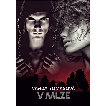 

V mlze